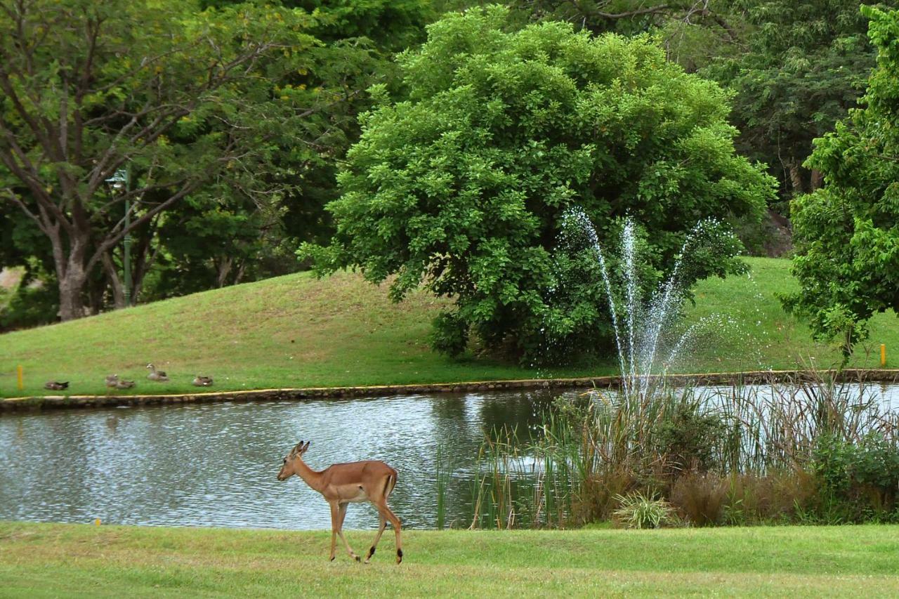 Kruger Park Lodge Unit No. 524 Hazyview Exterior foto